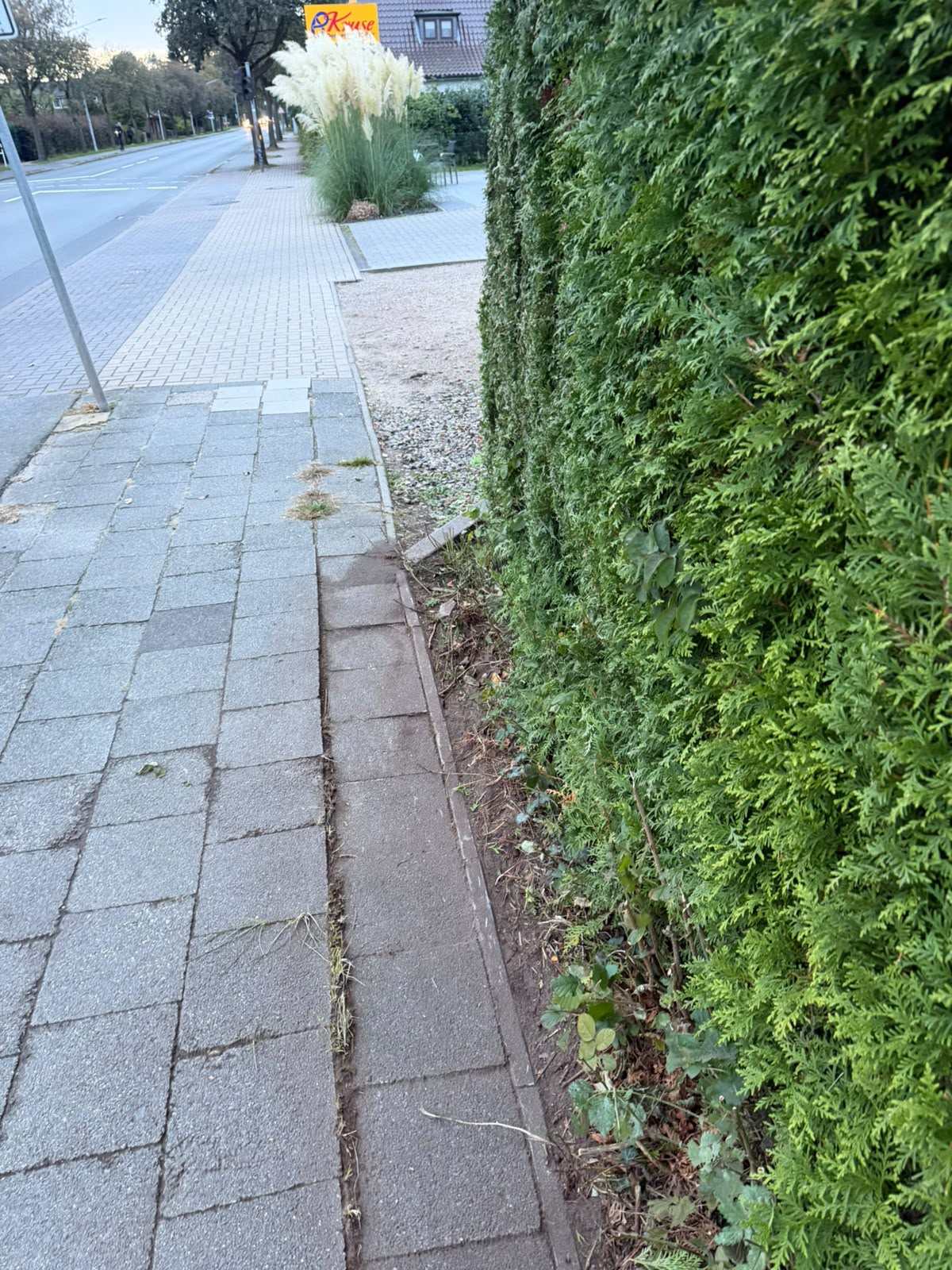 Derselbe Abschnitt nach der Arbeit, Randstreifen frei, Plattenkante wieder sichtbar
