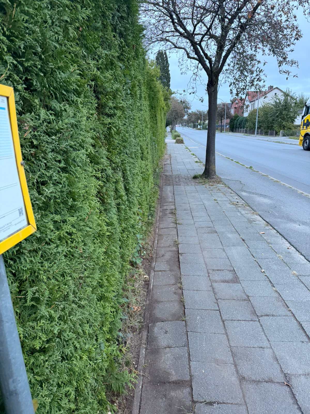 Derselbe Gehweg nach der Arbeit, Plattenrand an der Hecke frei